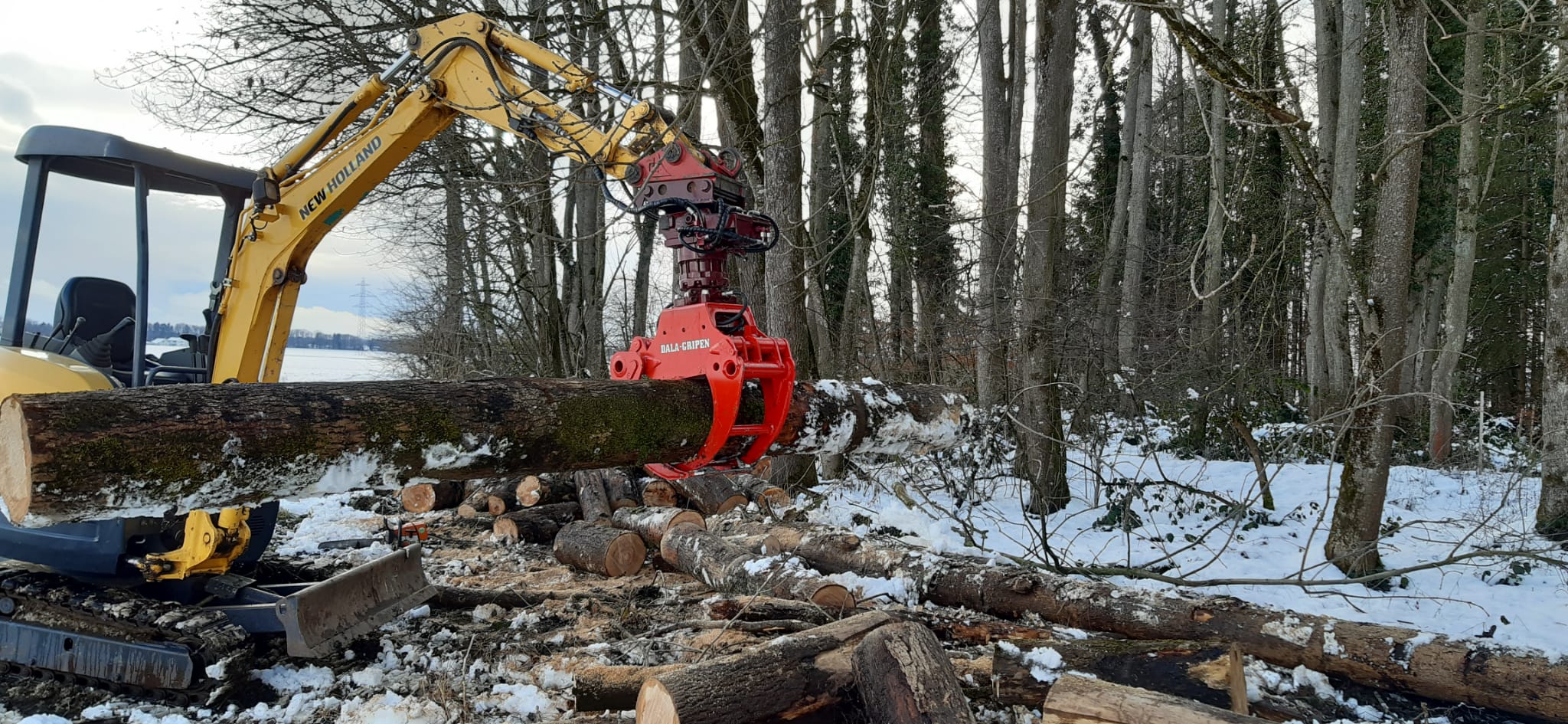 Holzzange, DGE20, Einsatz